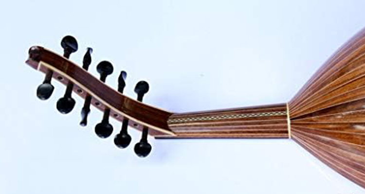 The Enchanting World of Oud Fingerboard img