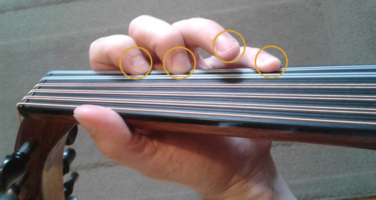 Maintenance of Your Oud Fingerboard: Essential Tips img